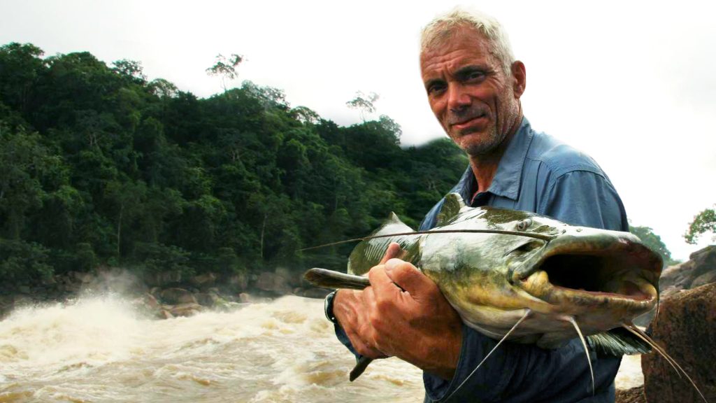 Discovery Channel debutta in chiaro