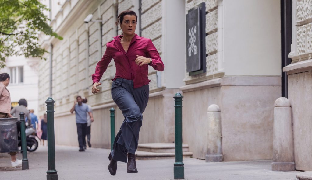 Tony & Ziva da NCIS alla spy comedy in salsa rosa