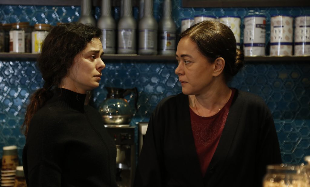 Ascolti TV Total Audience | Lunedì 29 Dicembre 2025. La Forza di una Donna (primo episodio +63K) si conferma davanti a tutti