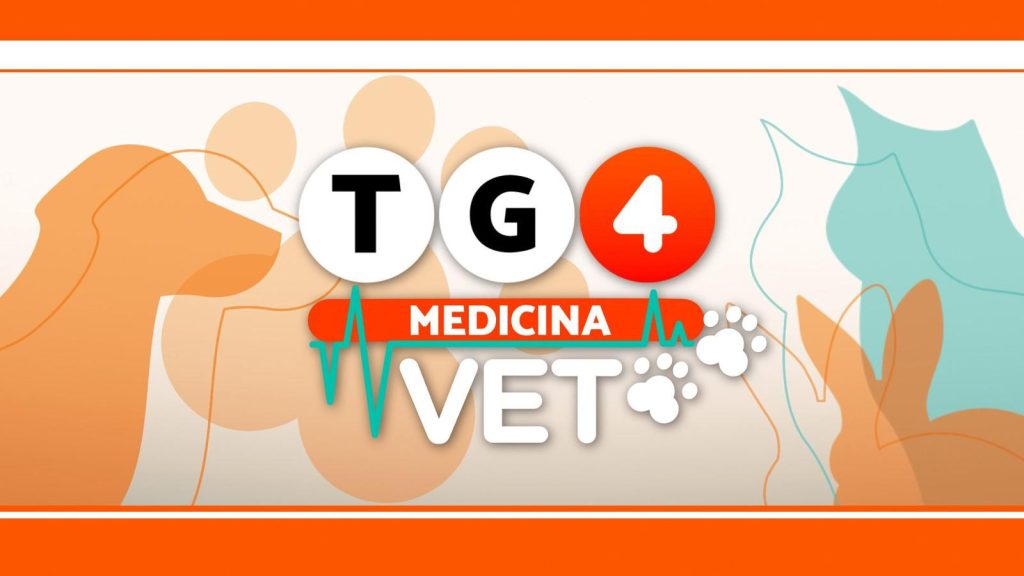 Al via TG4 Medicina VET, nuova rubrica di medicina veterinaria