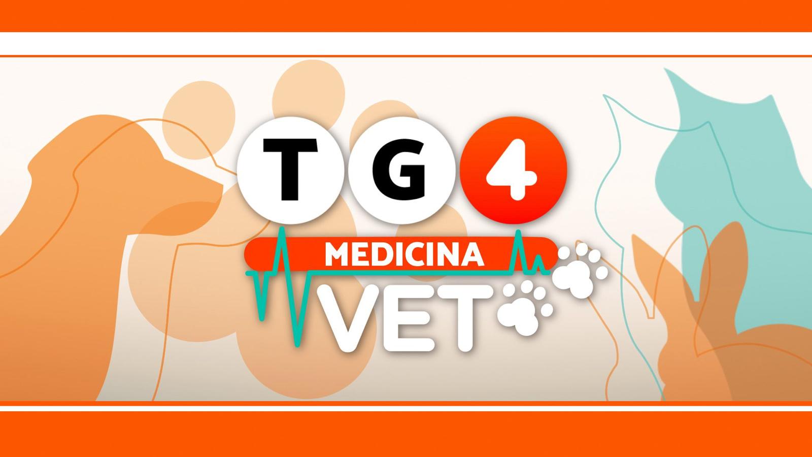 Al via TG4 Medicina VET, nuova rubrica di medicina veterinaria Al via TG4 Medicina VET, nuova rubrica di medicina veterinaria