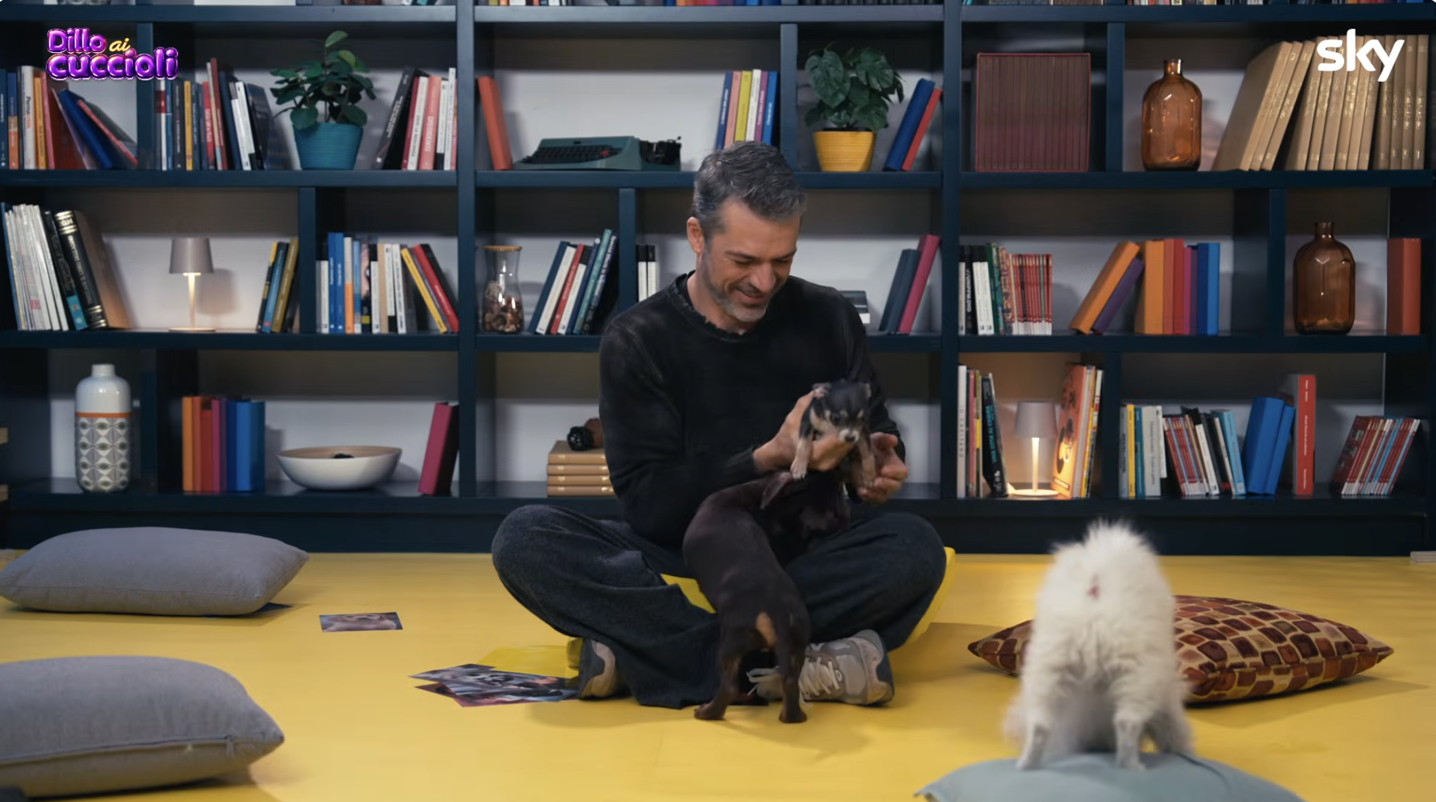 Luca Argentero presenta Avvocato Ligas circondato da 5 cuccioli