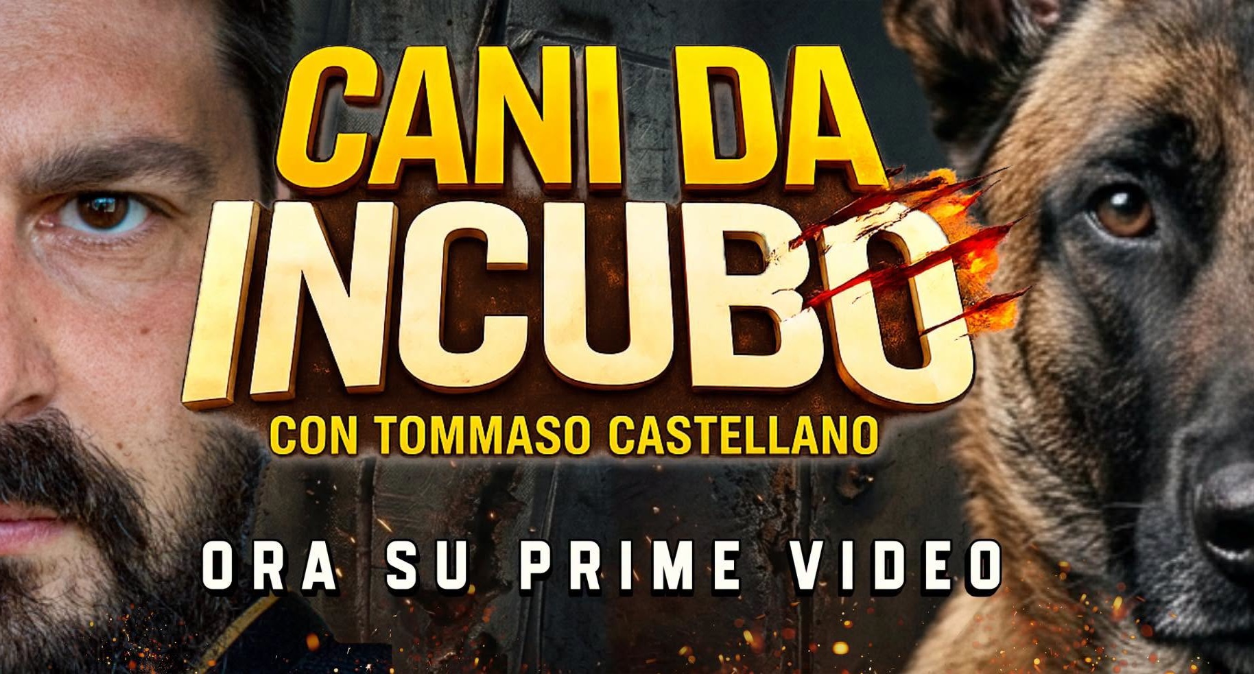Cani da incubo rimosso da Prime Video: è polemica sui metodi di Tommaso Castellano