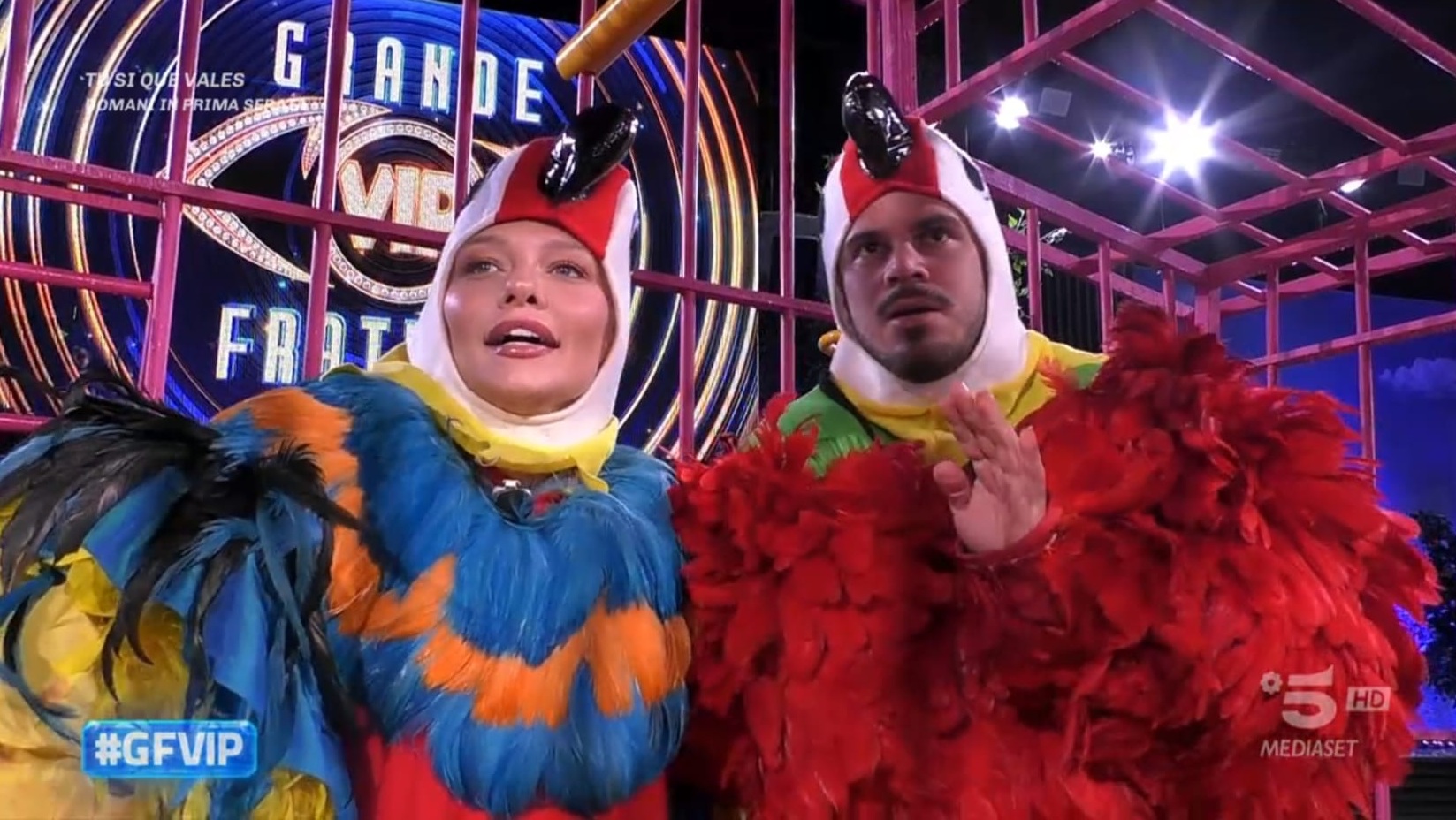 GF Vip 9, diretta dodicesima puntata: Giulia e Danto conquistano l’immunità
