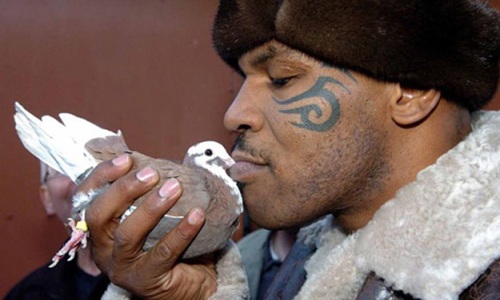 MIKE TYSON IN UN REALITY SUI PICCIONI