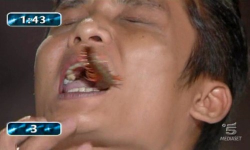 LO SHOW DEI RECORD: IL MILLEPIEDI NON CI STA E MORDE IL RECORDMAN SIANWONG.