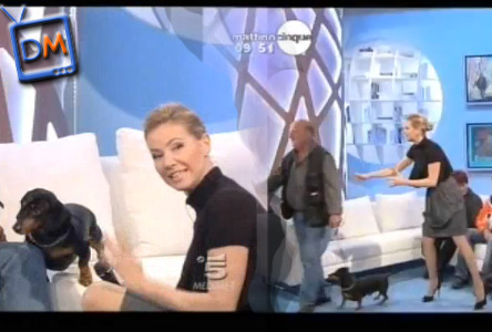 MATTINO CINQUE: FEDERICA PANICUCCI ALLE PRESE CON UN CANE PARLANTE CHE NON HA PAROLE. ESATTAMENTE COME NOI (VIDEO)