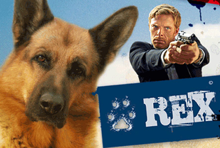 NUOVI CASI PER IL CANE POLIZIOTTO PIU’ FAMOSO DELLA TV: SU RAIUNO TORNA “REX”