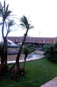 UN ATTENTATO A BARI… e nessuno ne parla!