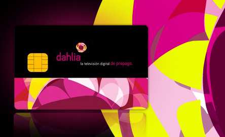 STA PER NASCERE DAHLIA: 4 NUOVI CANALI DALLE CENERI DI CARTAPIU’