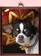 Gaydar mascotte Playing it Straight @ Davide Maggio .it