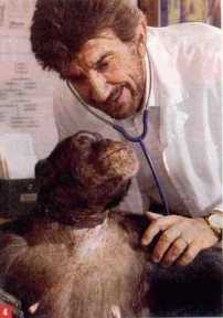 CHE ASCOLTI TV SIANO!