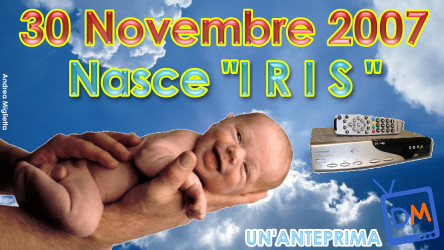 30 NOVEMBRE 2007 : DEBUTTA IRIS