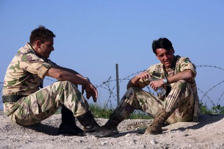 Protetto: ASCOLTI TV DI DOMENICA 9 NOVEMBRE 2008: LA DOMENICA (IN) DEI MORTI VIVENTI