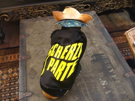 BREVEMENTE: ARGOMENTI E OSPITI DEI PRINCIPALI PROGRAMMI DEL 5 FEBBRAIO 2009