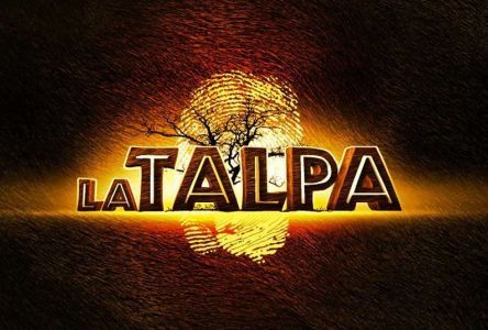 BOOM! LA TALPA 4? PROBABILMENTE IN ASIA