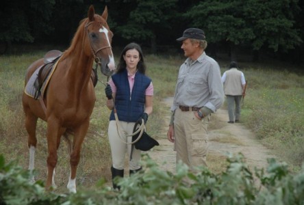ASCOLTI TV DI DOMENICA 10 MAGGIO 2009: TERENCE HILL VINCE LA SERATA (24.58%). SKY, IN PRIME TIME, AL 10%