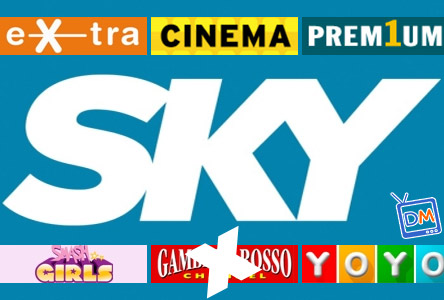 RAISAT E SKY: TEMPI STRETTISSIMI PER IL RINNOVO DEL CONTRATTO