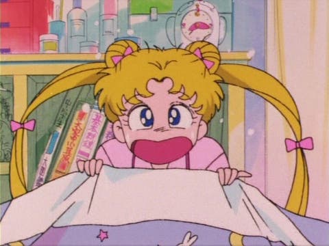 Ascolti tv di lunedi 23 agosto 2010: Sailor Moon