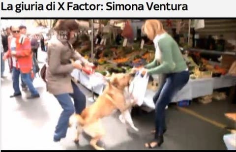 Simona Ventura e il cane Ugo azzannato